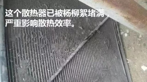 高能预警!杨柳絮纷飞,请做好空压机防范和清理