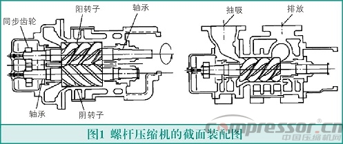 螺杆式nianxiangyuan
转子故障与检测