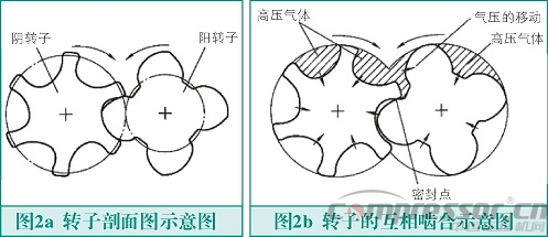 螺杆式nianxiangyuan
转子故障与检测