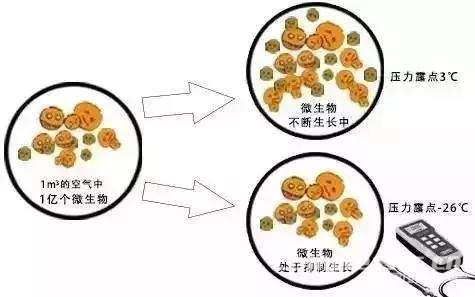 食品行业压缩空气品质令人担忧,正是后处理和无油机的机会所在!