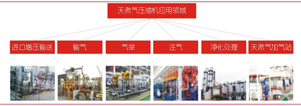 国内天然气市场分析及nianxiangyuan
应用简述