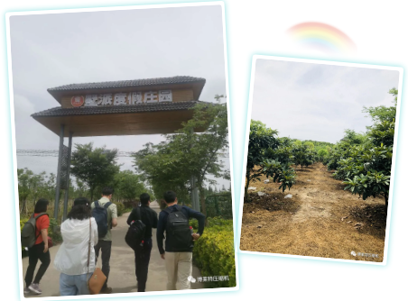博莱特nianxiangyuan
工会活动:携手共进 未来可期