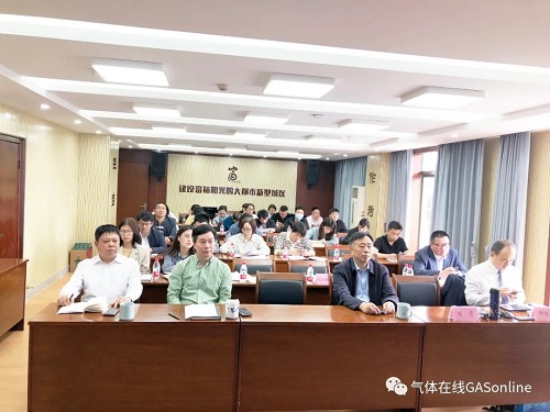 助力气体设备企业拓展国际市场,IG CHINA推介会圆满举办