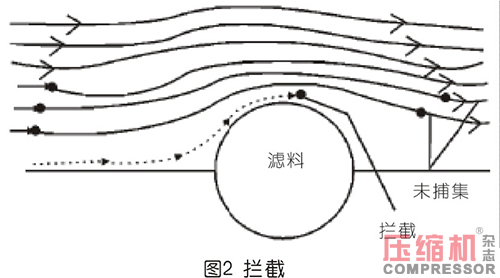 20220315212049.jpg 33.jpg